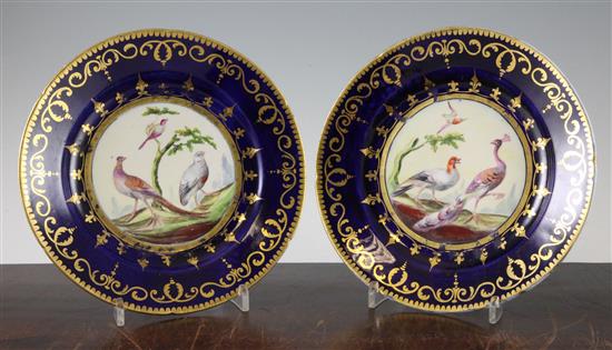 Two Coalport outside decorated dessert plates, c.1810, 21.5cm